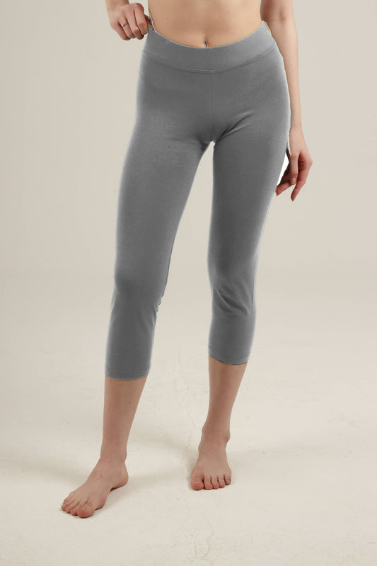 Swift Fit (3100)
